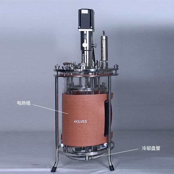 JIUYOU.COM·(中国区)官方网站(HOLVES)实验发酵罐 JIUYOU.COM·(中国区)官方网站(HOLVES)实验发酵罐